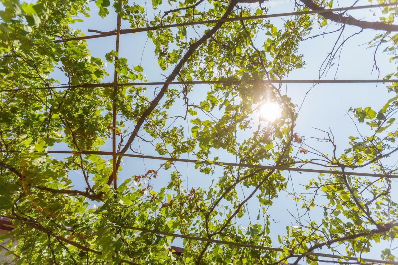 Mereti Hotel Borjomi Ngoại thất bức ảnh