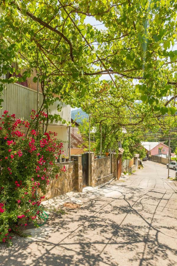 Mereti Hotel Borjomi Ngoại thất bức ảnh